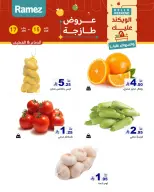 الانتقال إلى الصفحة 3 من 18