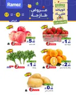 الانتقال إلى الصفحة 2 من 11