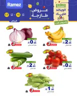 الانتقال إلى الصفحة 3 من 11