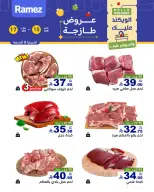 الانتقال إلى الصفحة 8 من 11