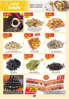 الانتقال إلى الصفحة 11 من 26