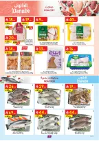 الانتقال إلى الصفحة 8 من 26