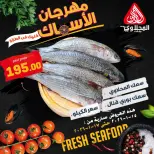 Offres Marché El Mahlawy Egypte de 15 à 17 janvier 2026 Offres Fête du Poisson