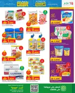 الانتقال إلى الصفحة 29 من 33