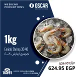 الانتقال إلى الصفحة 6 من 11