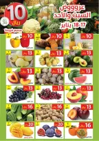 الانتقال إلى الصفحة 4 من 5