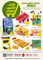 الانتقال إلى الصفحة 1 من 8