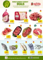 الانتقال إلى الصفحة 3 من 8