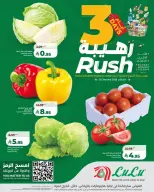 الانتقال إلى الصفحة 6 من 7