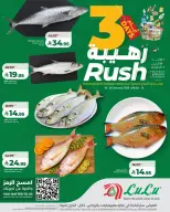 الانتقال إلى الصفحة 5 من 7