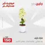 Raneen Egypt Offers from 18 to 19 January 2026 Gifts and Decorations Offers - Page 28