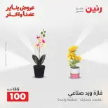 Raneen Egypt Offers from 18 to 19 January 2026 Gifts and Decorations Offers - Page 30
