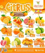 الانتقال إلى الصفحة 1 من 1