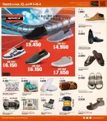 الانتقال إلى الصفحة 24 من 35