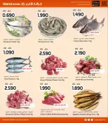 الانتقال إلى الصفحة 4 من 35