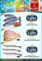 الانتقال إلى الصفحة 2 من 5