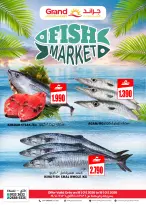 الانتقال إلى الصفحة 2 من 2