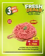 الانتقال إلى الصفحة 6 من 13