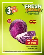 الانتقال إلى الصفحة 12 من 13