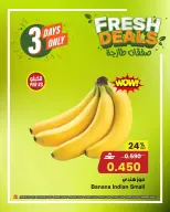 الانتقال إلى الصفحة 13 من 13