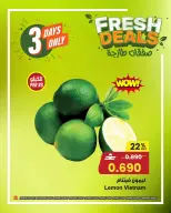 الانتقال إلى الصفحة 11 من 13