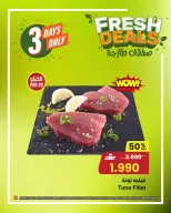 الانتقال إلى الصفحة 3 من 13