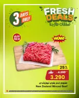 الانتقال إلى الصفحة 7 من 13