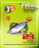 الانتقال إلى الصفحة 5 من 13