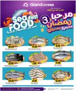 الانتقال إلى الصفحة 17 من 20