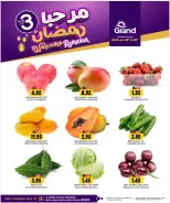 الانتقال إلى الصفحة 19 من 20