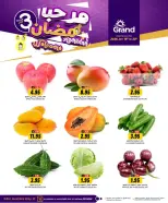 الانتقال إلى الصفحة 1 من 8