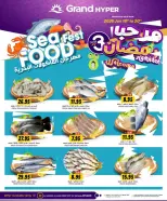 الانتقال إلى الصفحة 3 من 8