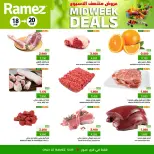 الانتقال إلى الصفحة 5 من 5