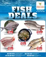 الانتقال إلى الصفحة 1 من 1