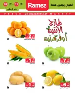 الانتقال إلى الصفحة 3 من 11