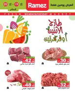 الانتقال إلى الصفحة 9 من 11