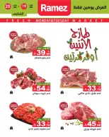 الانتقال إلى الصفحة 10 من 11