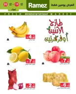 الانتقال إلى الصفحة 2 من 5