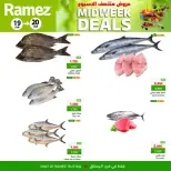 الانتقال إلى الصفحة 5 من 5