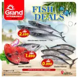 الانتقال إلى الصفحة 1 من 1