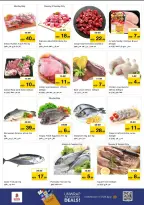 الانتقال إلى الصفحة 8 من 14