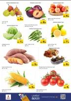 الانتقال إلى الصفحة 7 من 11