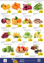 الانتقال إلى الصفحة 2 من 13