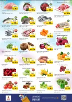 الانتقال إلى الصفحة 2 من 11