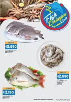 الانتقال إلى الصفحة 3 من 3