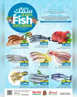 الانتقال إلى الصفحة 1 من 1