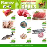 الانتقال إلى الصفحة 5 من 6