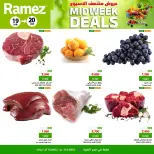 الانتقال إلى الصفحة 6 من 6