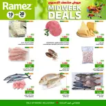 الانتقال إلى الصفحة 6 من 7