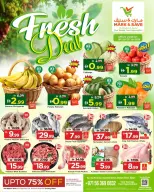 الانتقال إلى الصفحة 1 من 1